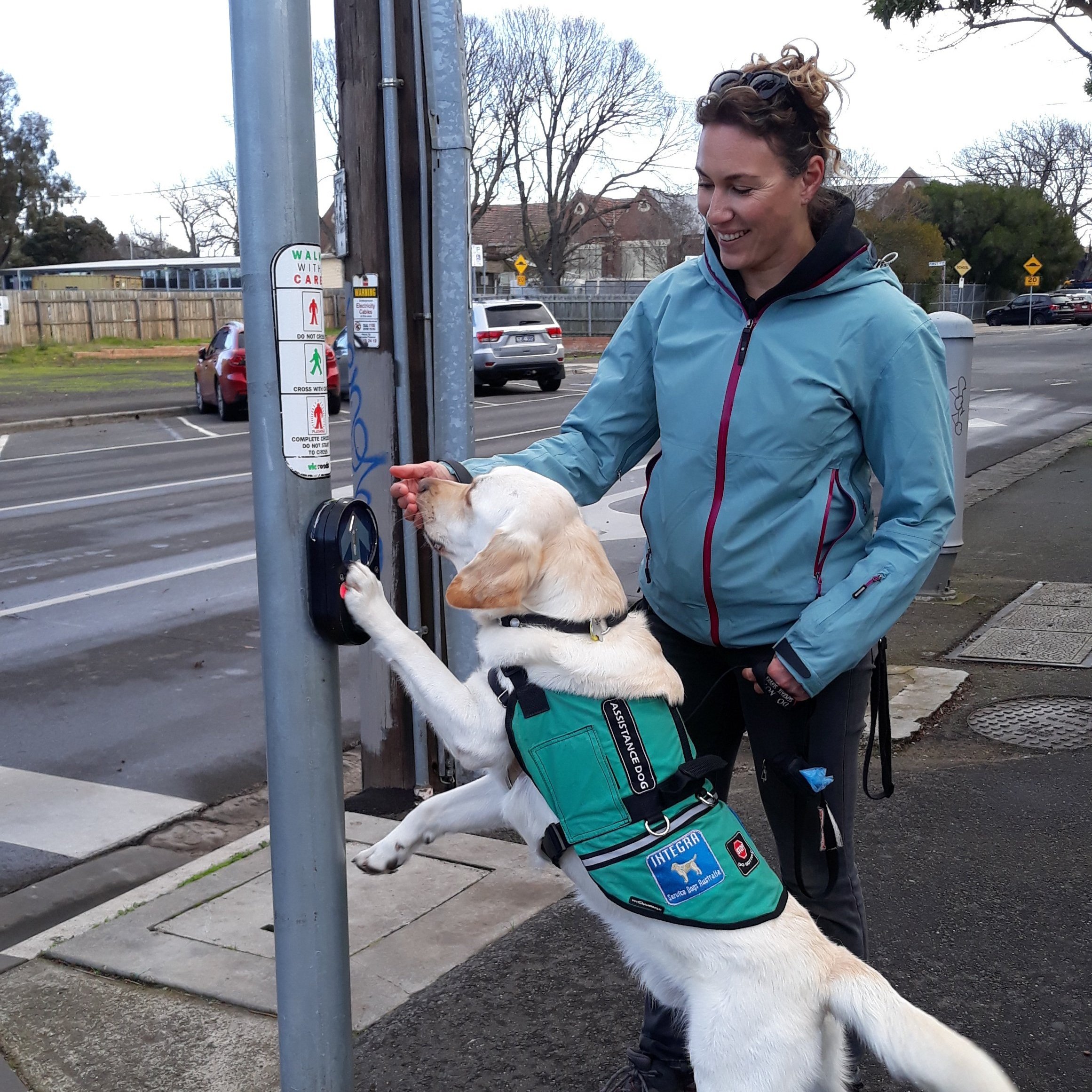 Assistance store dog training